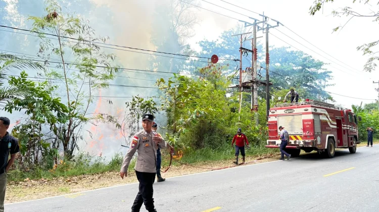 Gerak Cepat, Karhutla di Kawal Berhasil Dipadamkan Petugas Gabungan
