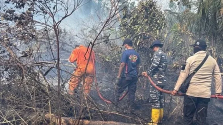 Karhutla Desa Sungai Besar Kabupaten Lingga Capai 26 Hektare
