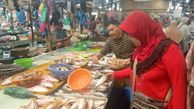 Pedagang Sebut Distribusi dan Harga Ikan di Tanjungpinang Normal