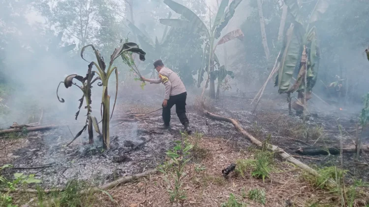 Polsek Tanjungpinang Timur Padamkan Kebakaran Lahan Kosong