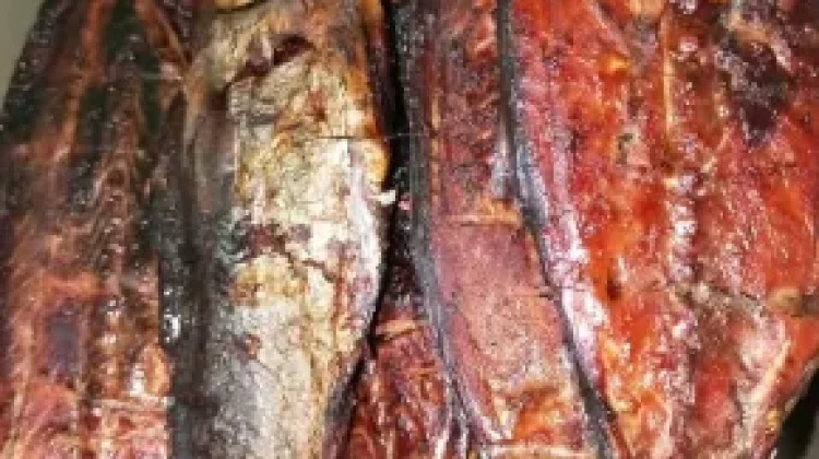 Manfaatkan Potensi Laut Indonesia dengan Pola Makan Tinggi Protein dari Ikan