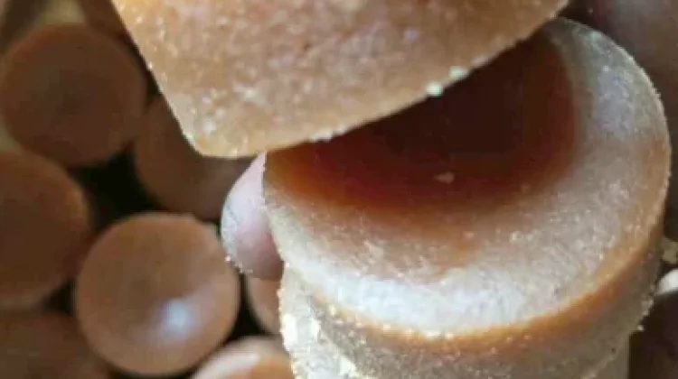 Jangan Asal Manis, Perhatikan Jenis dan Kandungan Gula dalam Pemanis Anda