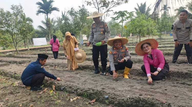 Polsek Tanjungpinang Kota Tanam Jagung Dukung Swasembada Pangan