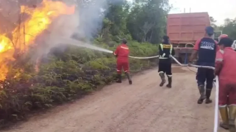 Karhutla Singkep Barat Hanguskan Puluhan Hektar