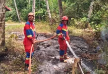 Dua Kebakaran Hutan Terjadi Sehari di Singkep