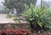 Hujan Deras Akhiri Kemarau Panjang Dabo Singkep