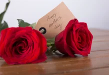 Bunga Mawar Merah: Simbol Cinta dan Abadi