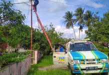 Pohon Tumbang Picu Gangguan Listrik Lingga