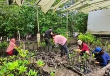 Republic Polytechnic, Singapura, Antusias Belajar di Pengudang Mangrove