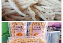 Penjual Kriecu Tetap Optimis di tengah Persaingan Bisnis