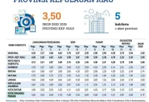 Kota Tanjungpinang Raih IDSD Tertinggi se-Provinsi Kepulauan Riau