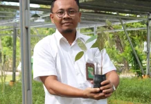 Restorasi Mangrove Perkuat Ketahanan Lingkungan dan Ekonomi Masyarakat