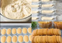 Lidah Kucing yang Bukan Sekedar Lidah Kucing