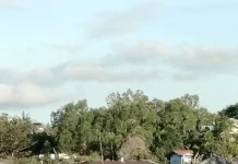 Hari ini Pulau Bintan Sepanjang Hari Cerah Berawan hingga Berawan