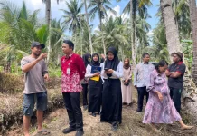 Kelapa Dalam Kawal Diusulkan Menjadi Potensi Indikasi Geografis