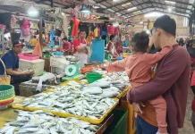 Harga Ikan di Pasar Bintan Center Mulai Turun di Bulan Ramadan