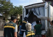 Tembus 134 Juta Rupiah, Ekspor Perdana Ikan Angoli dan Kerapu ke Australia
