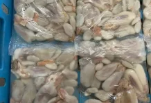 Telur Sotong Mulai Digemari Masyarakat, Jadi Peluang Usaha Kuliner Lokal