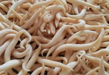 Kue Keju Daki Paling Diserbu Masyarakat, Permintaan Meningkat Tajam