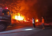 Karhutla Hanguskan 1 Hektare Lahan di Tembeling Tanjung Bintan