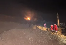 Damkar Lingga Padamkan Kebakaran Lahan di Desa Cempaka