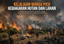 Kelalaian Warga Picu Kebakaran Hutan dan Lahan