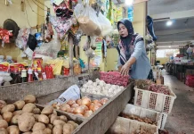 Stok Aman, Harga Sembako di Lingga Terkendali