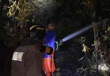 Respons Cepat Polisi Padamkan Karhutla Sekupang