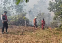 Polsek Tanjungpinang Kota Gerak Cepat Tangani Karhutla