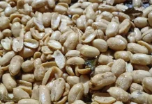 Kacang Bawang Putih Jadi Camilan Favorit Lebaran