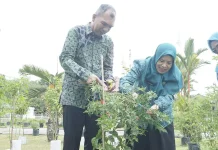 PKK Lingga Panen Cabai, Harga Pedas Disiasati