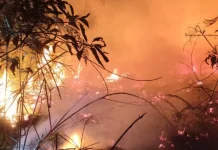 Karhutla Lima Hektare Dipadamkan, Petugas Kerja Ekstra