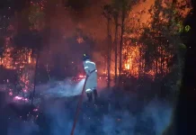 Pegiat Lingkungan Ingatkan Bahaya Pembakaran Lahan terhadap Ketersediaan Air