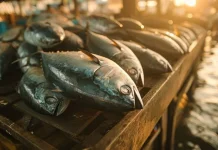 Beberapa Tips Memilih Ikan Segar di Pasar Tradisional