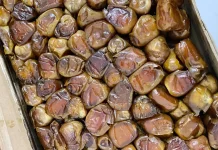 Konsumsi Kurma Sesuai Kebutuhan dan Rasakan Manfaatnya