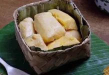 Tape, Makanan Lokal Sumber Probiotik