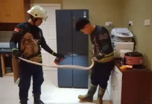 Damkar Tanjunguban Evakuasi Ular Python di Rumah Warga