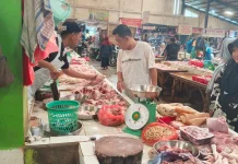 Harga Ayam Potong Naik Jadi Rp45 Ribu, Stok Mengalami Kekurangan di Produsen