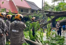 Brimob Kepri Evakuasi Pohon Tumbang Timpa Rumah
