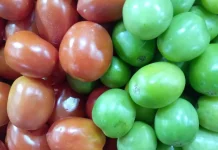Selain Warna, Apa Perbedaan Tomat Merah dan Hijau?