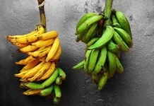 Pisang Kuning atau Hijau Pilihan Sehat Serat Gula