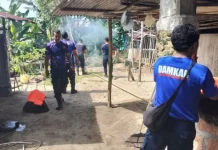 Damkar Sigap Evakuasi Tawon, Warga Tak Lagi Waswas