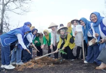Bantuan Bibit BKOW Kepri Sasar Petani Cikolek Toapaya Selatan