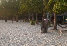 Pengembangan Pariwisata Bintan Melalui Desa Wisata