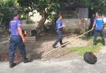 Damkar Lingga Gerak Cepat, Sarang Tawon Dihabisi