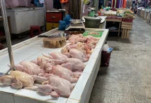 Harga Daging Sapi Segar Dipasar Bincen Stabil di 160 Ribu