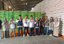 Stok Beras Nasional 5 Juta Ton, Kepri Tetap Aman