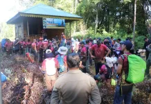 Pendaki Gunung Daik Diingatkan Utamakan Keselamatan Bersama