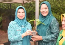 Penyerahan Bibit Cabai Sebagai Penguatan Ketahanan Pangan Masyarakat