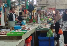 Penataan Pasar Bintan Center Masih Perlu Perbaikan